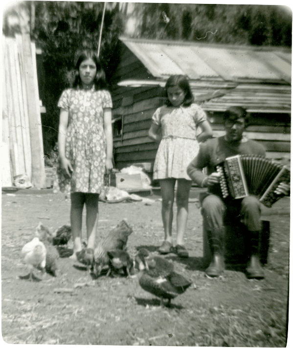 Fotografía de Niñas en campo, con gallinas